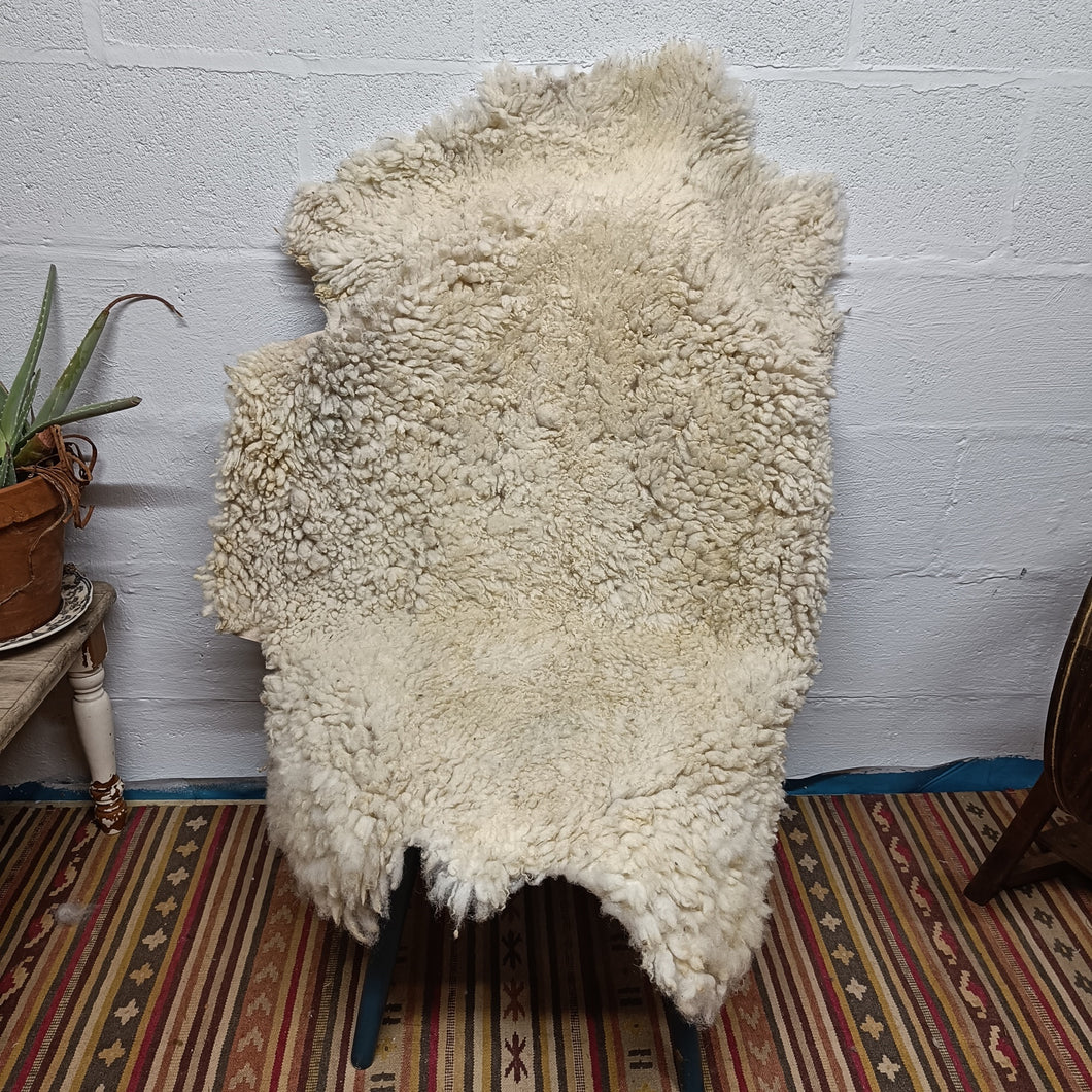 Shetland Sheepskin, Rosie