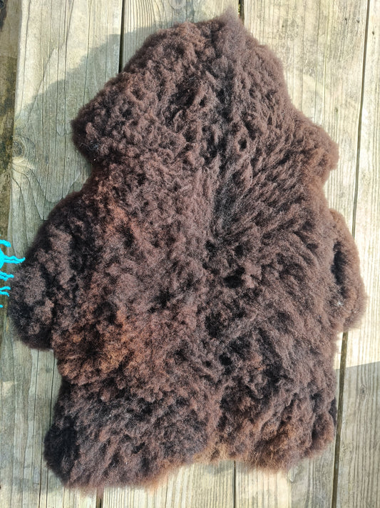 Shetland x Icelandic Sheepskin Rug