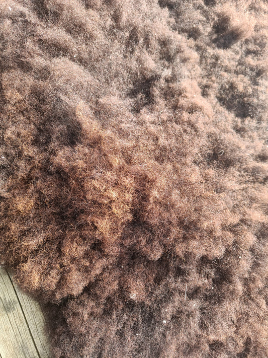 Shetland x Icelandic Sheepskin Rug 3