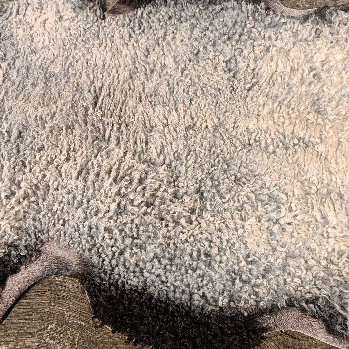 A natural sheepskin rug with curly off-white wool and dark brown to black tips, laid flat on a weathered wooden surface.