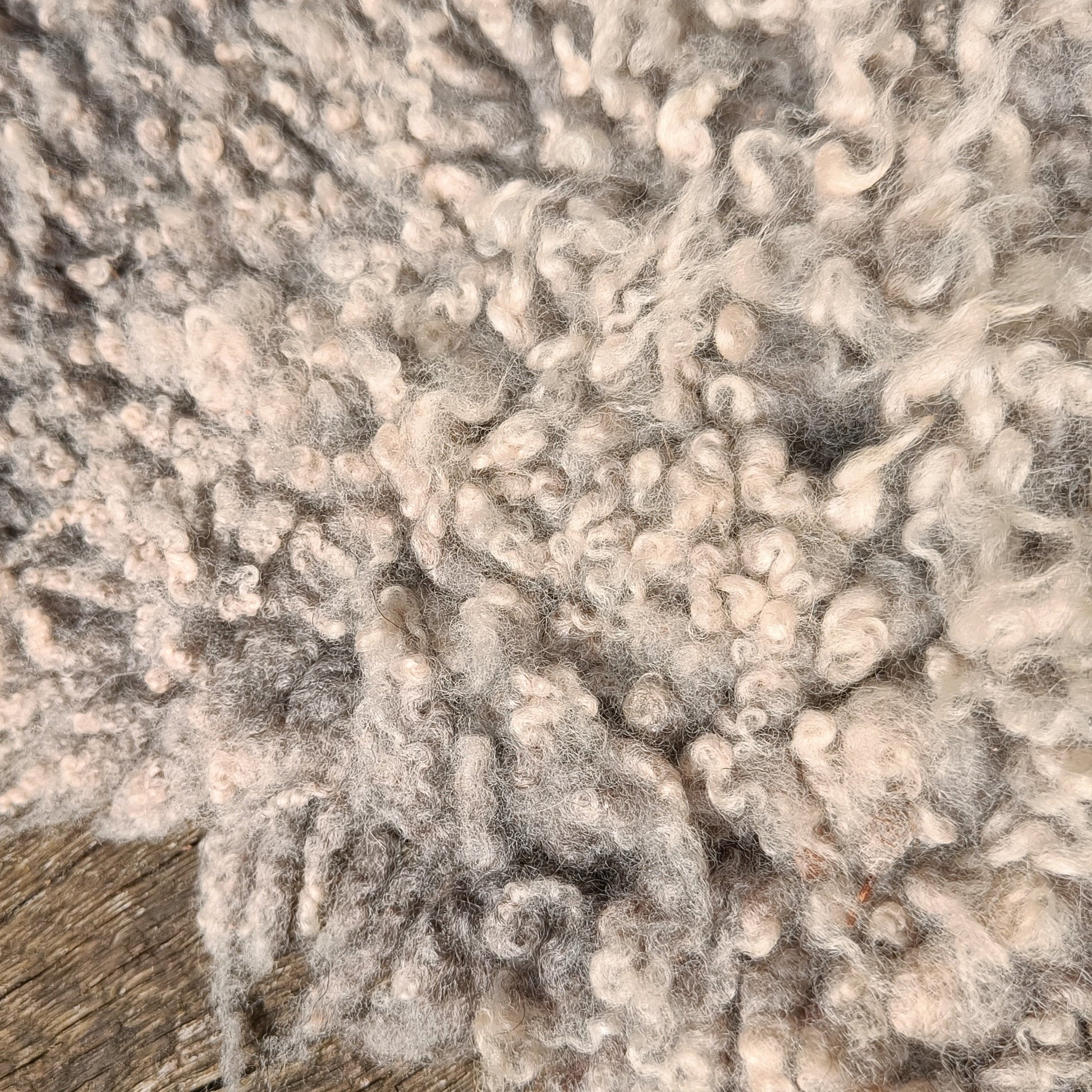 Close-up of curly, wool in off-white and light gray tones, with a small area of weathered wood visible in the lower left corner.