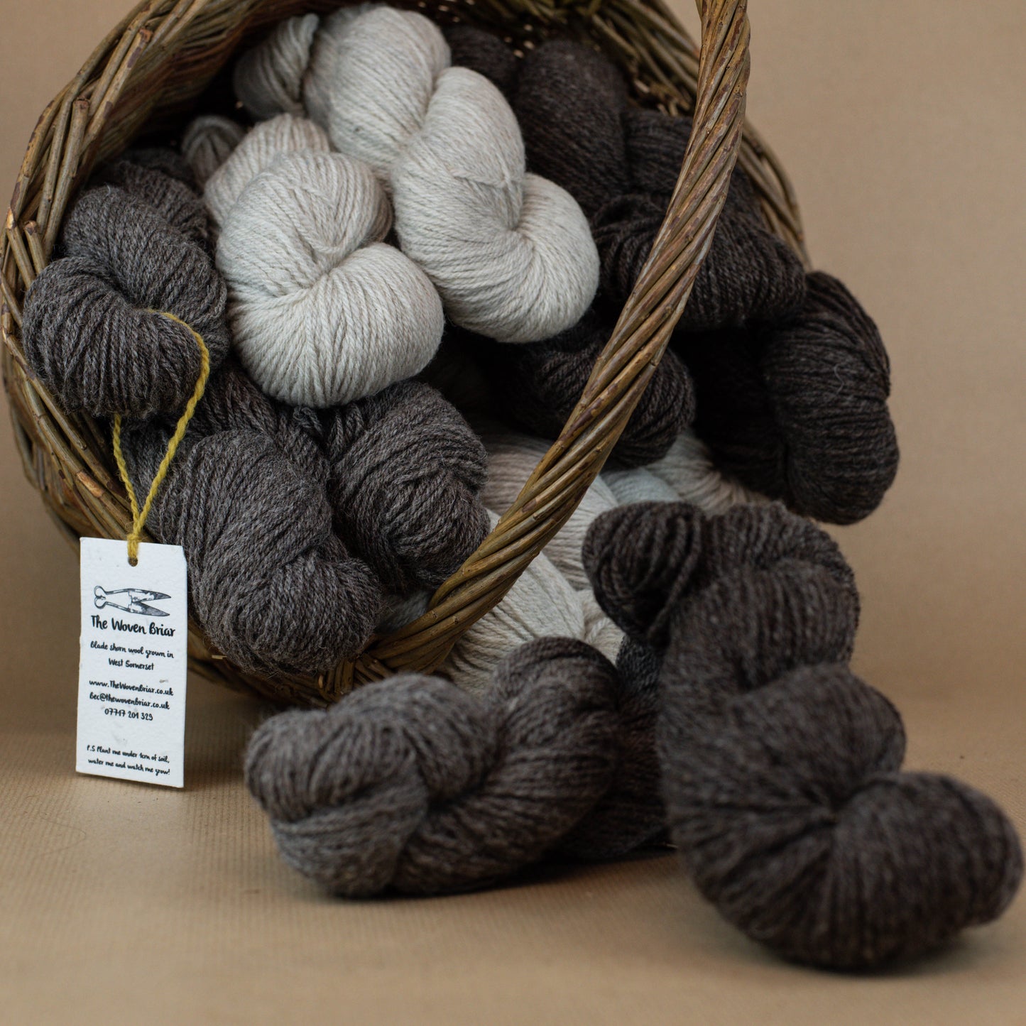 Jacob Wool Yarn, Brendon Hills
