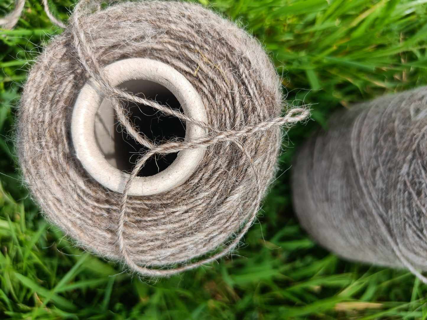 Icelandic Lopi Yarn