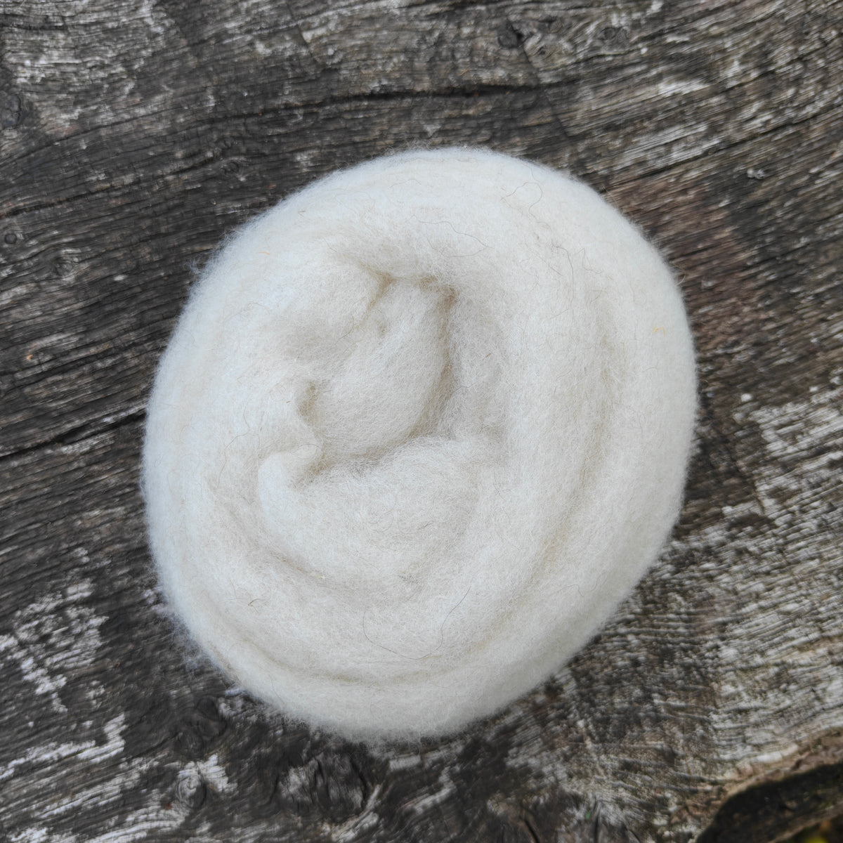 Icelandic Shetland Lambswool Sliver from Clive and Hank