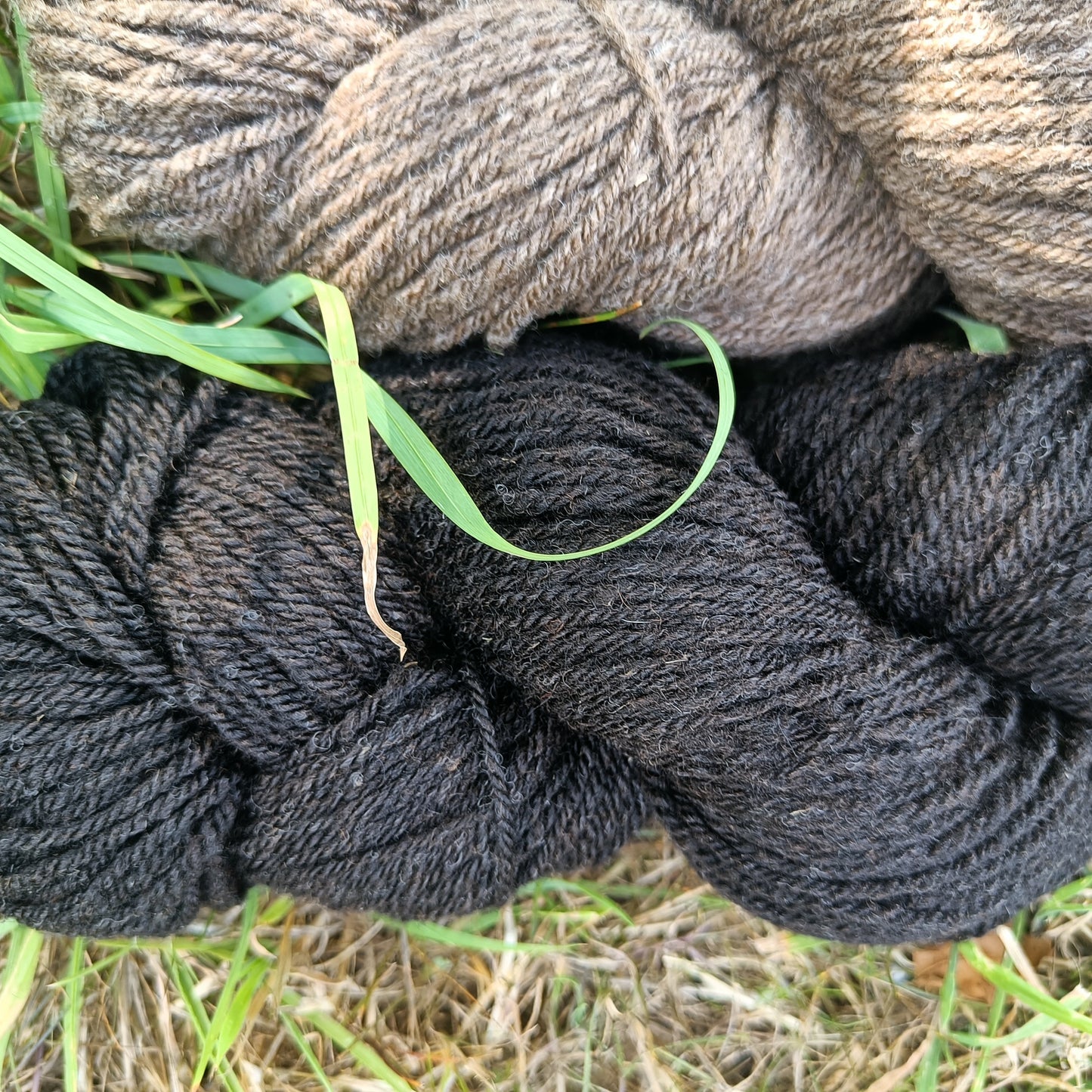 Shetland Wool Yarn
