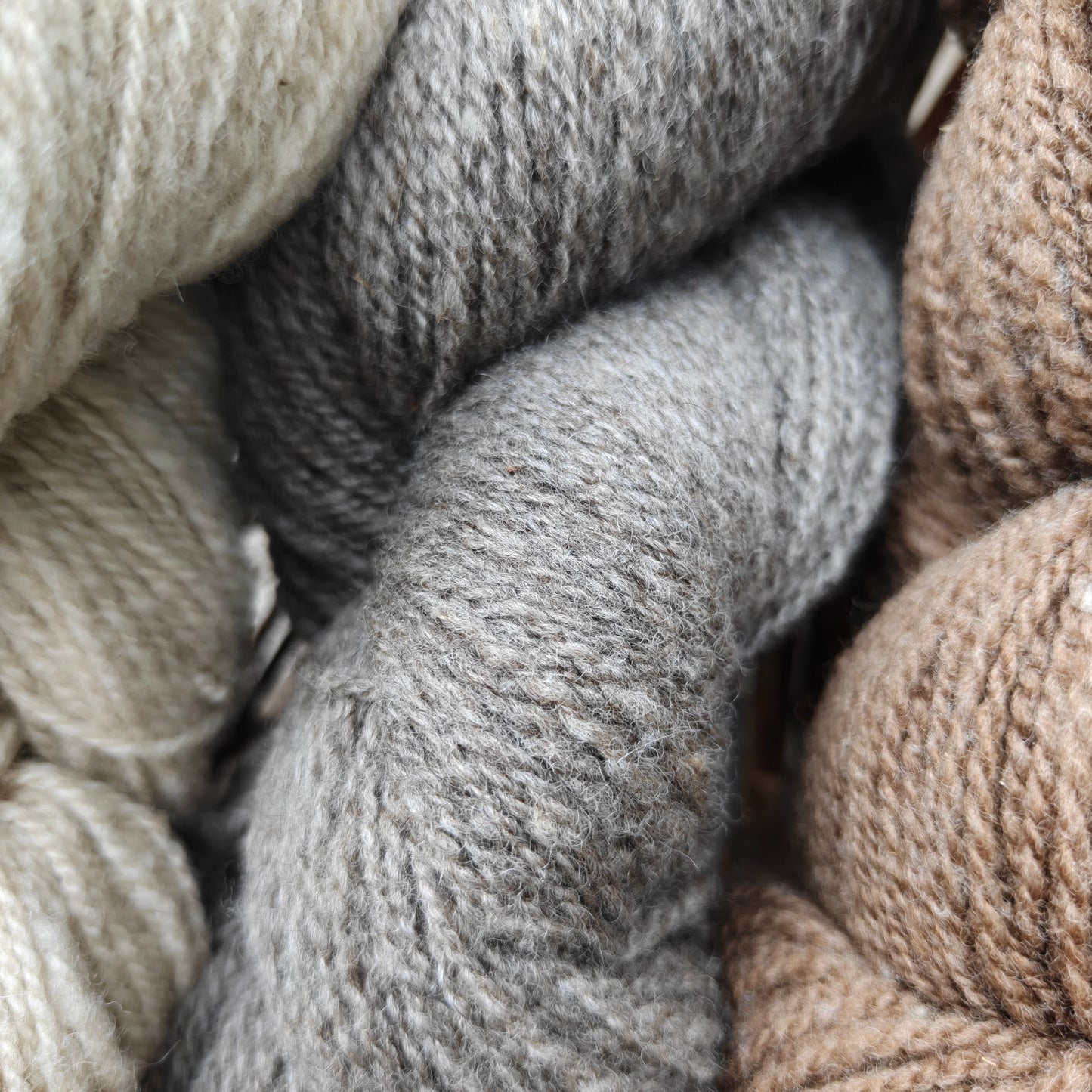 Shetland Wool Yarn DK