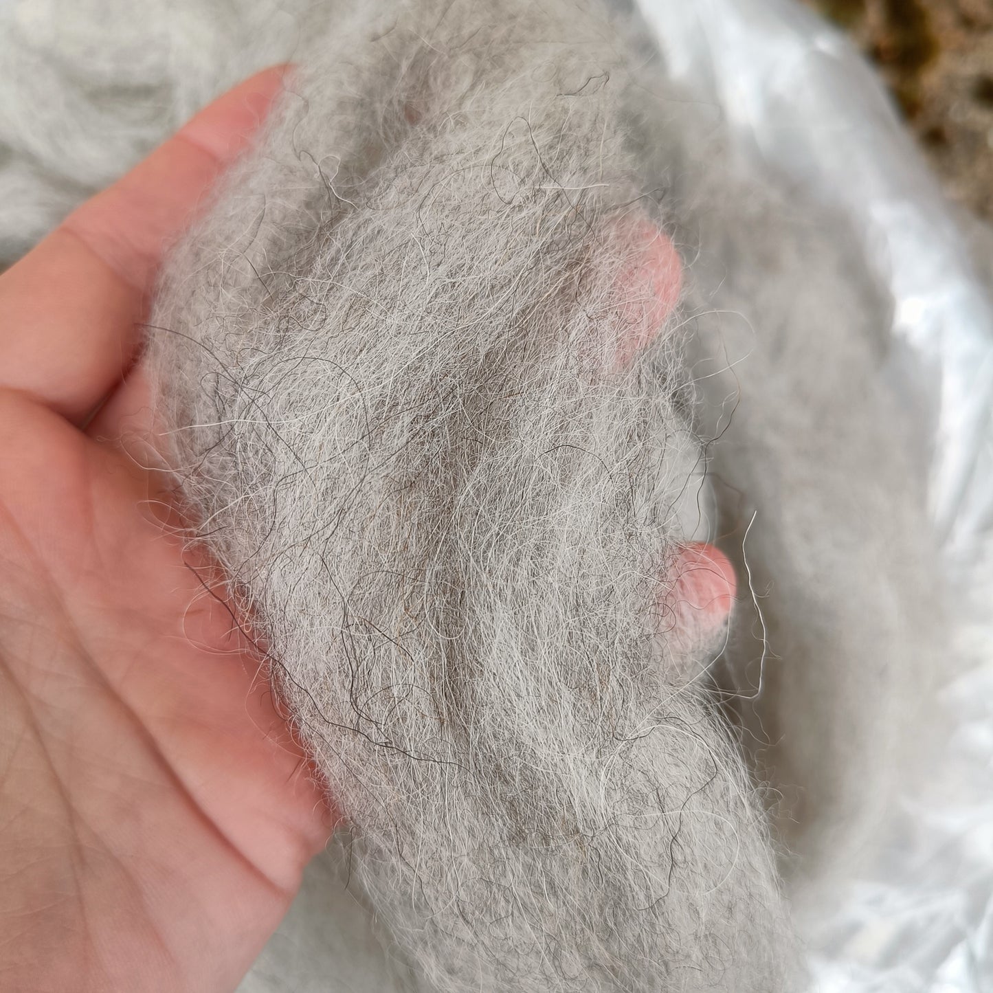 Icelandic Sliver from Black Kat