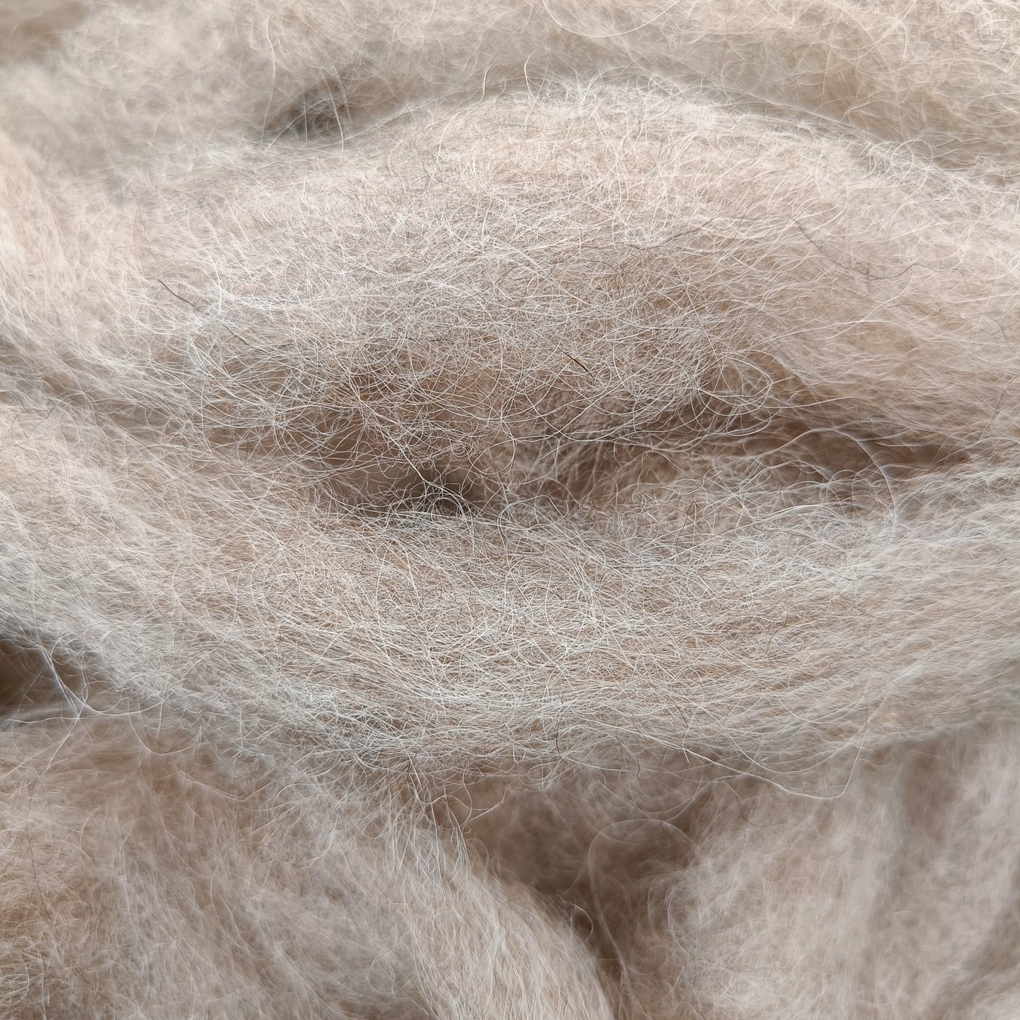 Icelandic Sliver from Dot