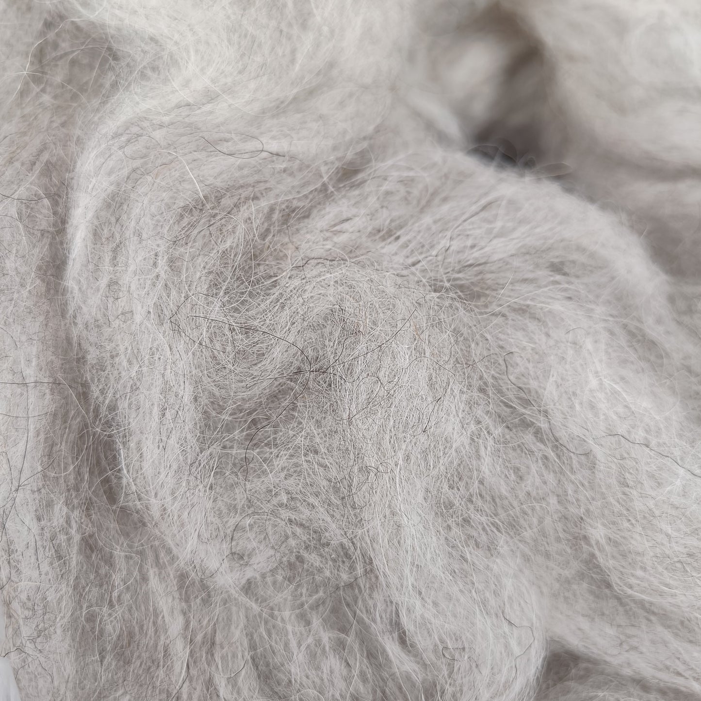 Icelandic Sliver from Black Kat