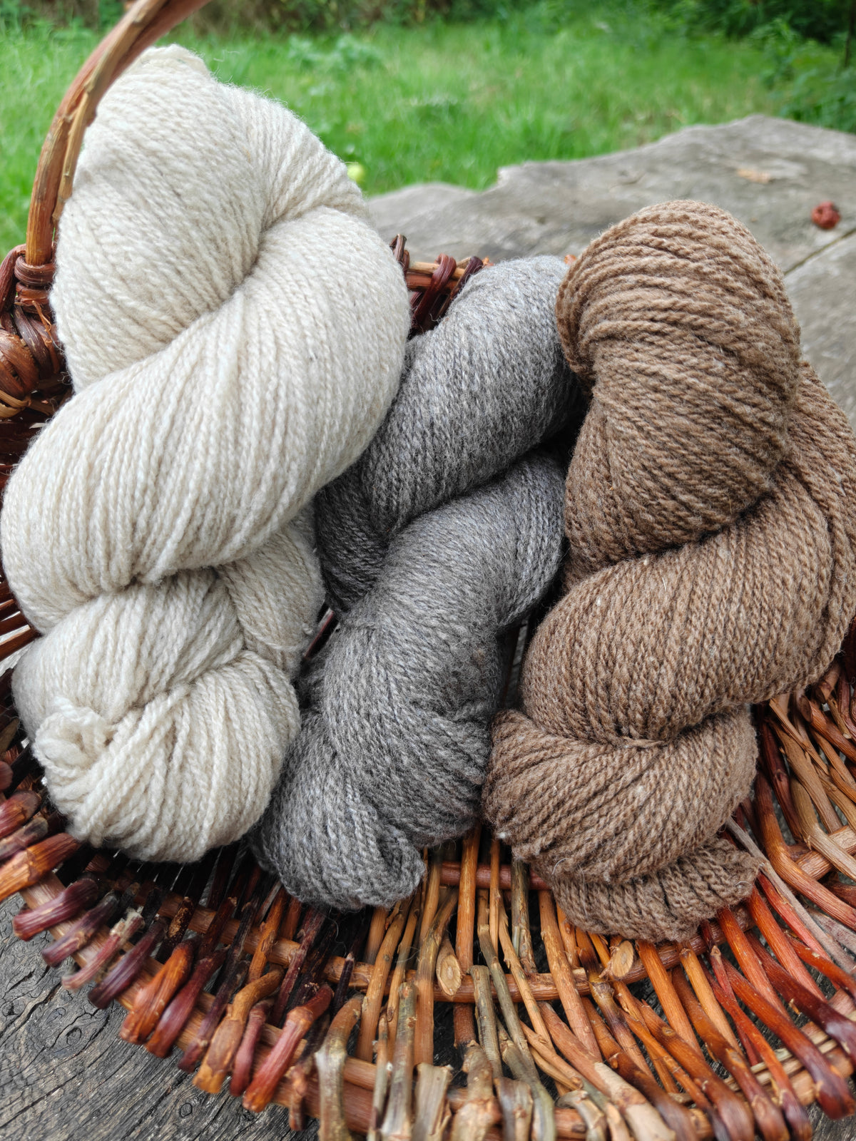 Shetland Wool Yarn DK