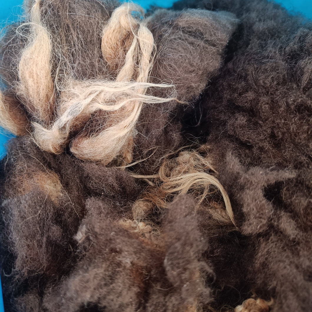 Jetsam. Raw Shetland Icelandic cross fleece