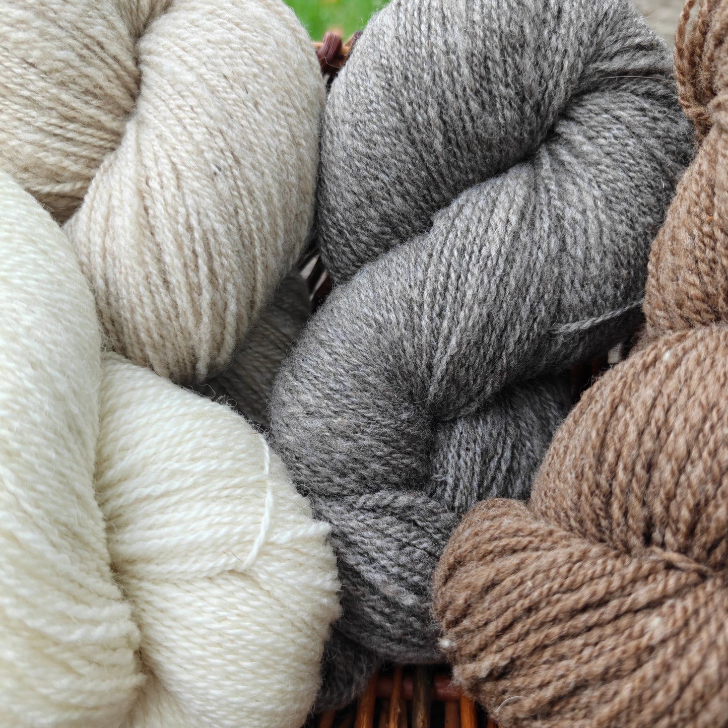Shetland Wool Yarn DK