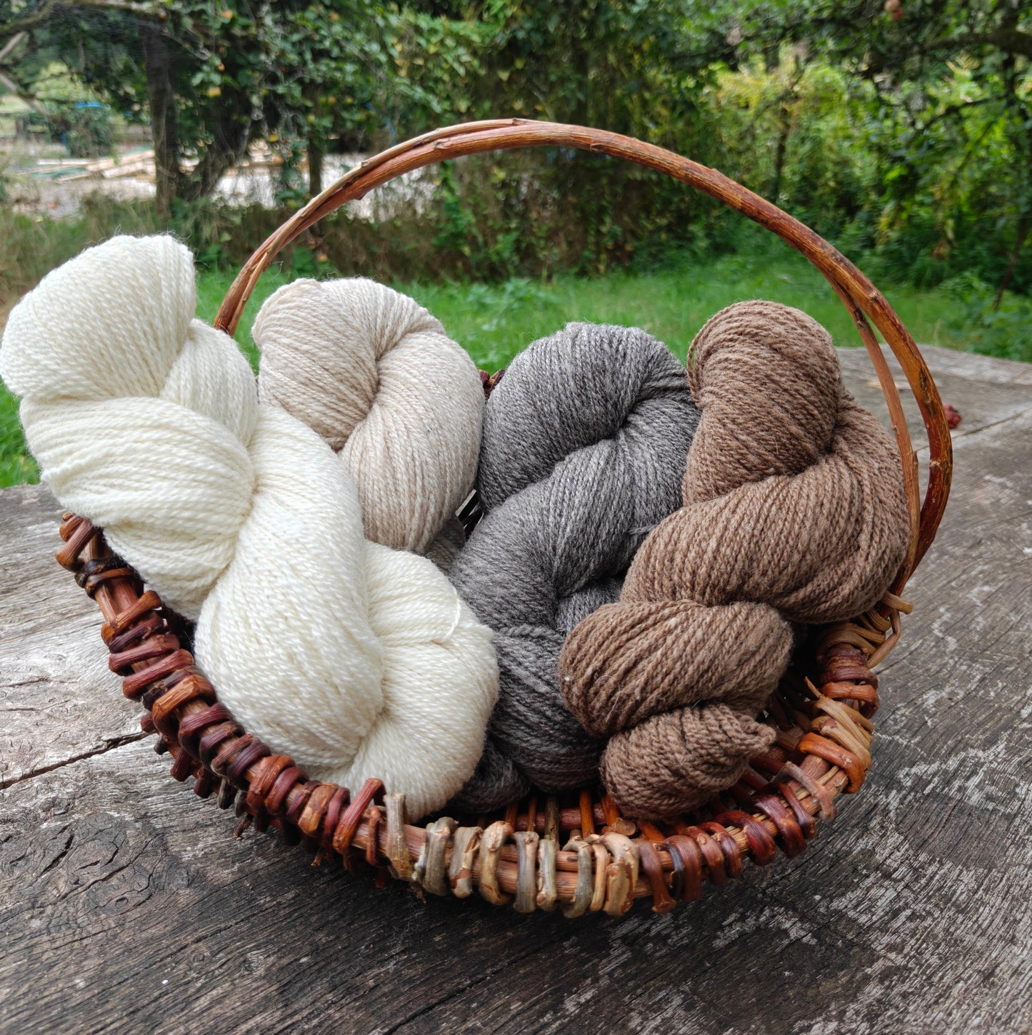 Shetland Wool Yarn DK