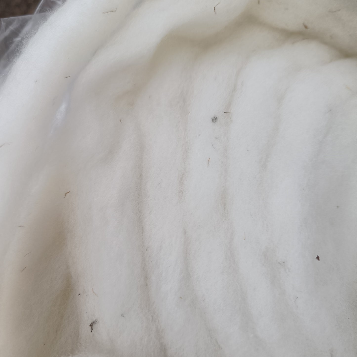 Merino x Cheviot - White Sliver
