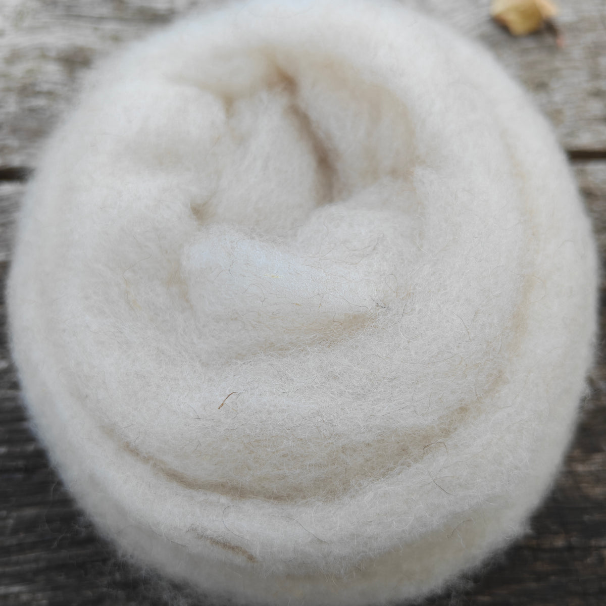 Icelandic Shetland Lambswool Sliver from Clive and Hank