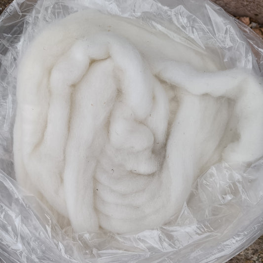 Merino x Cheviot - White Sliver