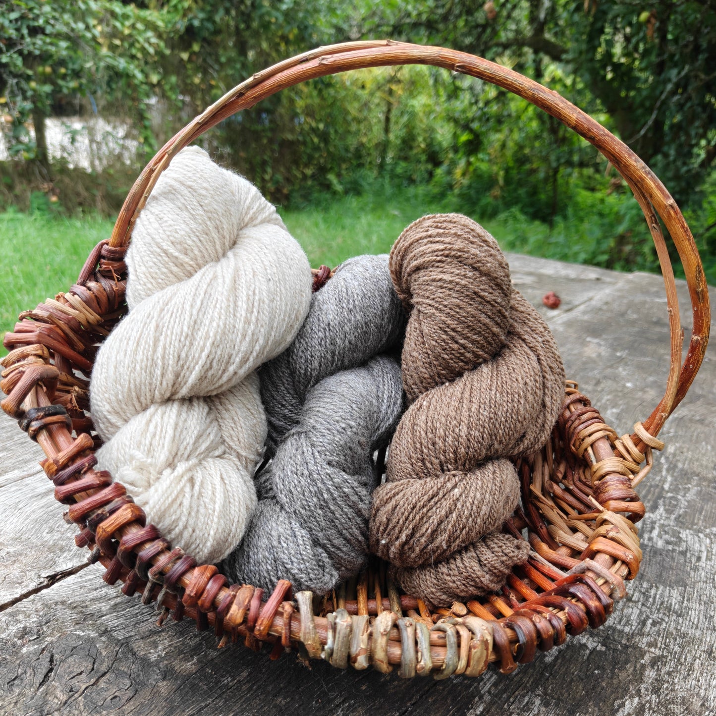Shetland Wool Yarn DK