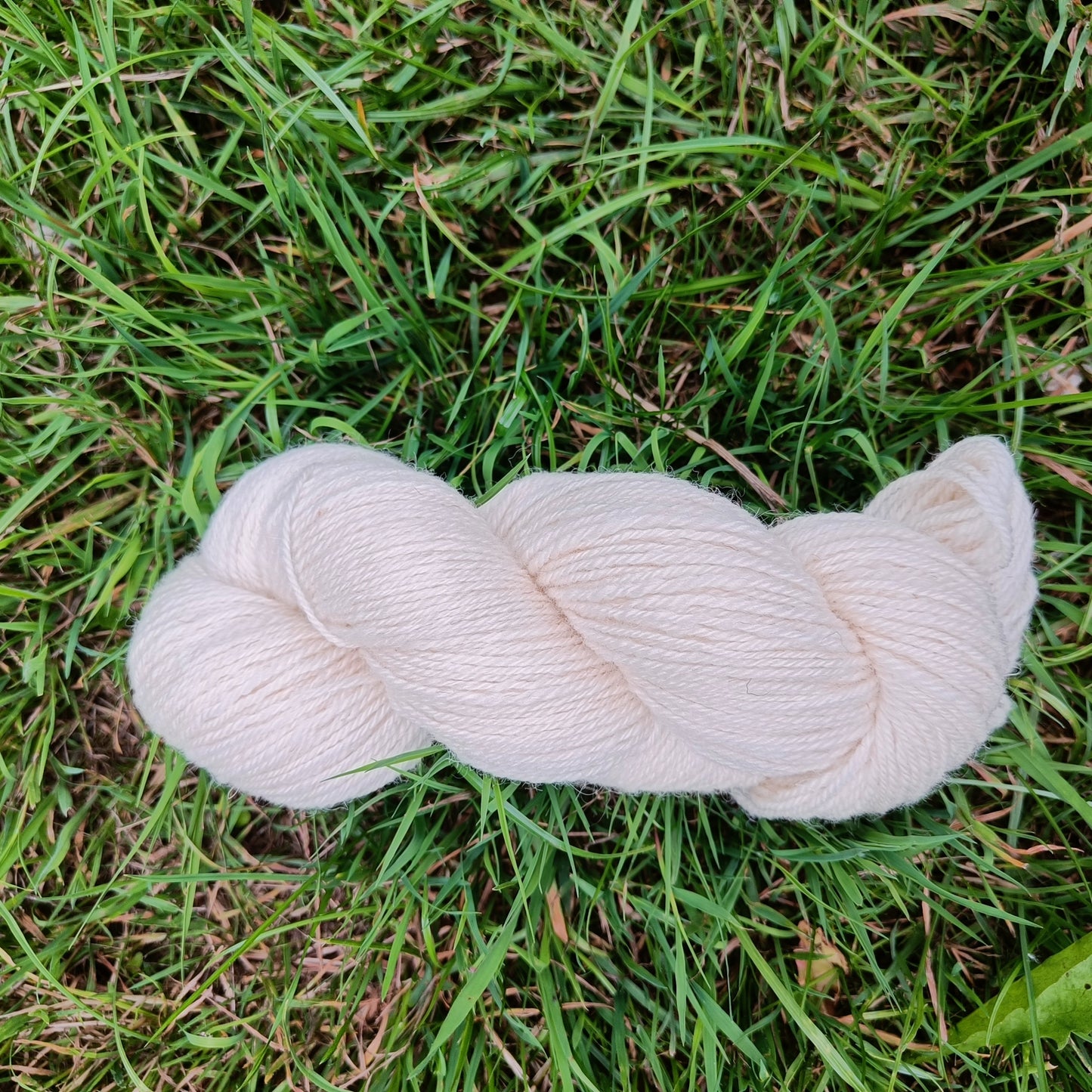 Portland Wool Yarn