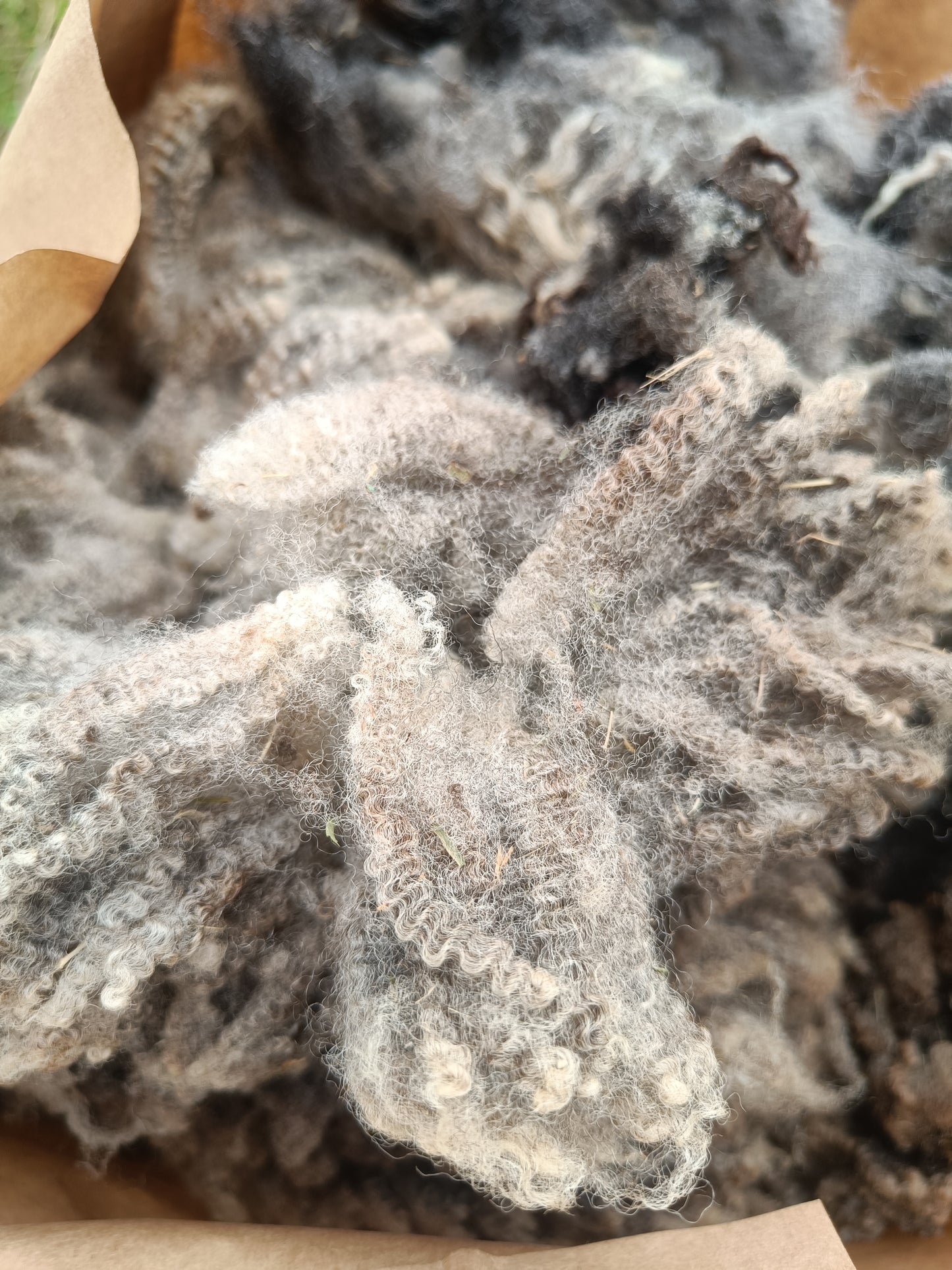 Bouncy Shetland Icelandic fleece