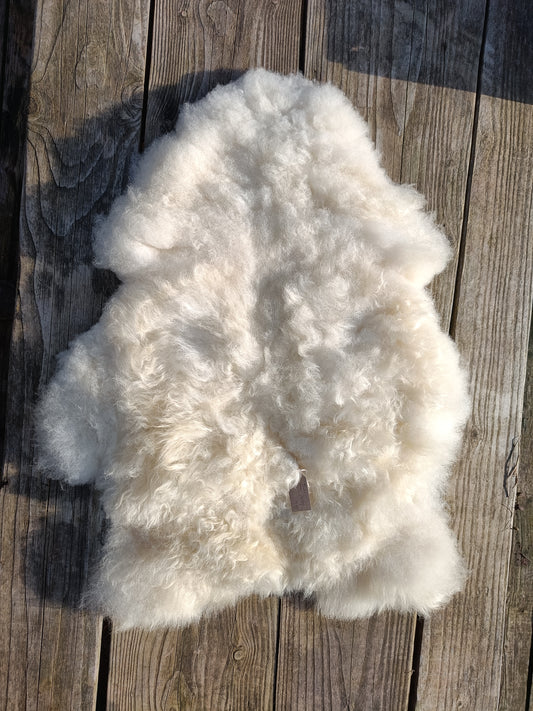 White Icelandic x Shetland Sheepskin Rug