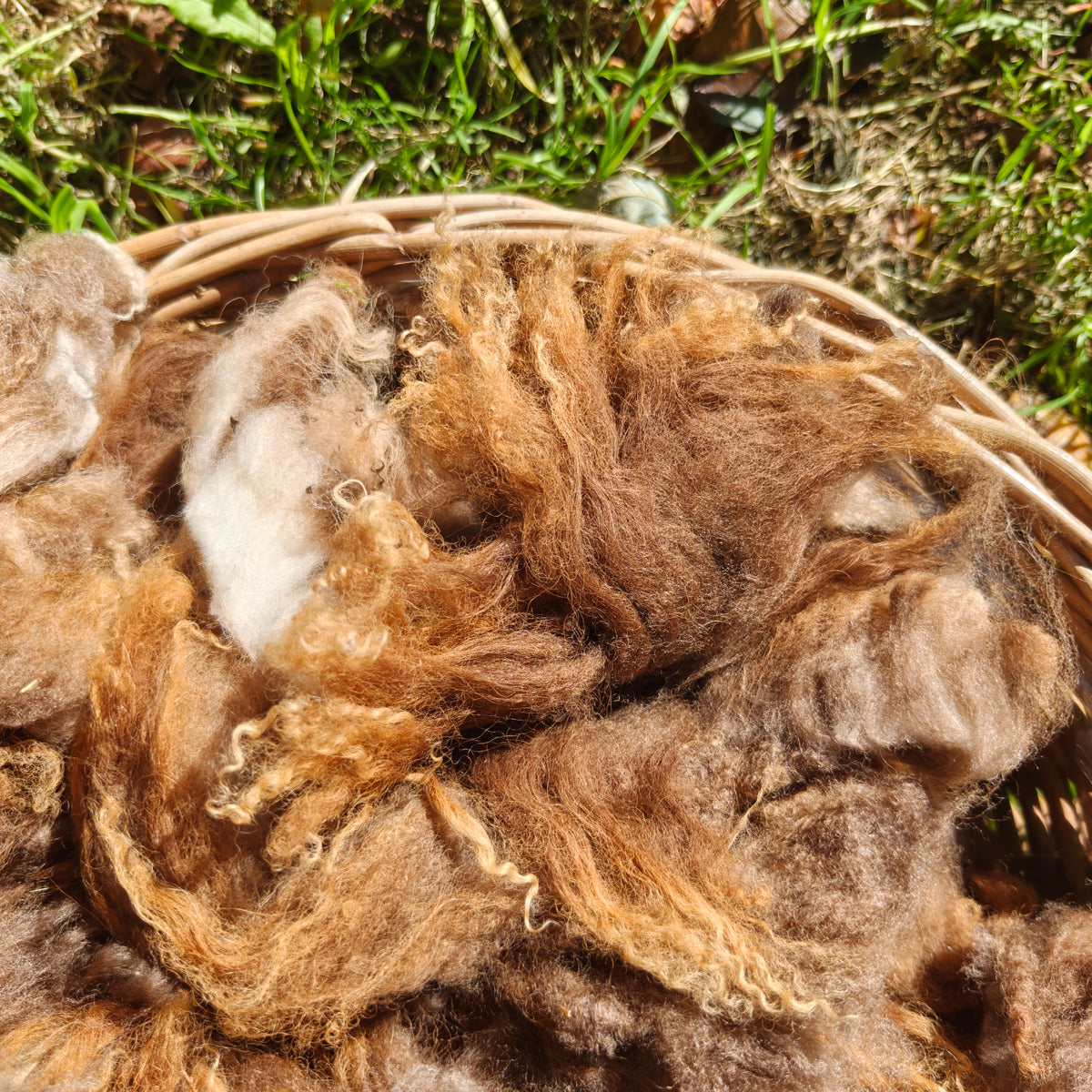 Raw Lambswool
