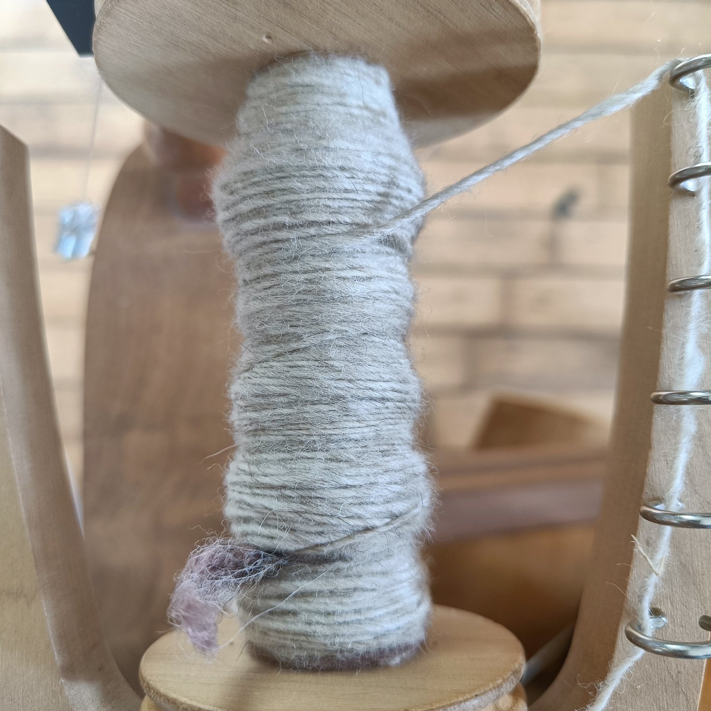 Shetland Icelandic Cross Lambs Wool - Light Oatmeal Sliver.