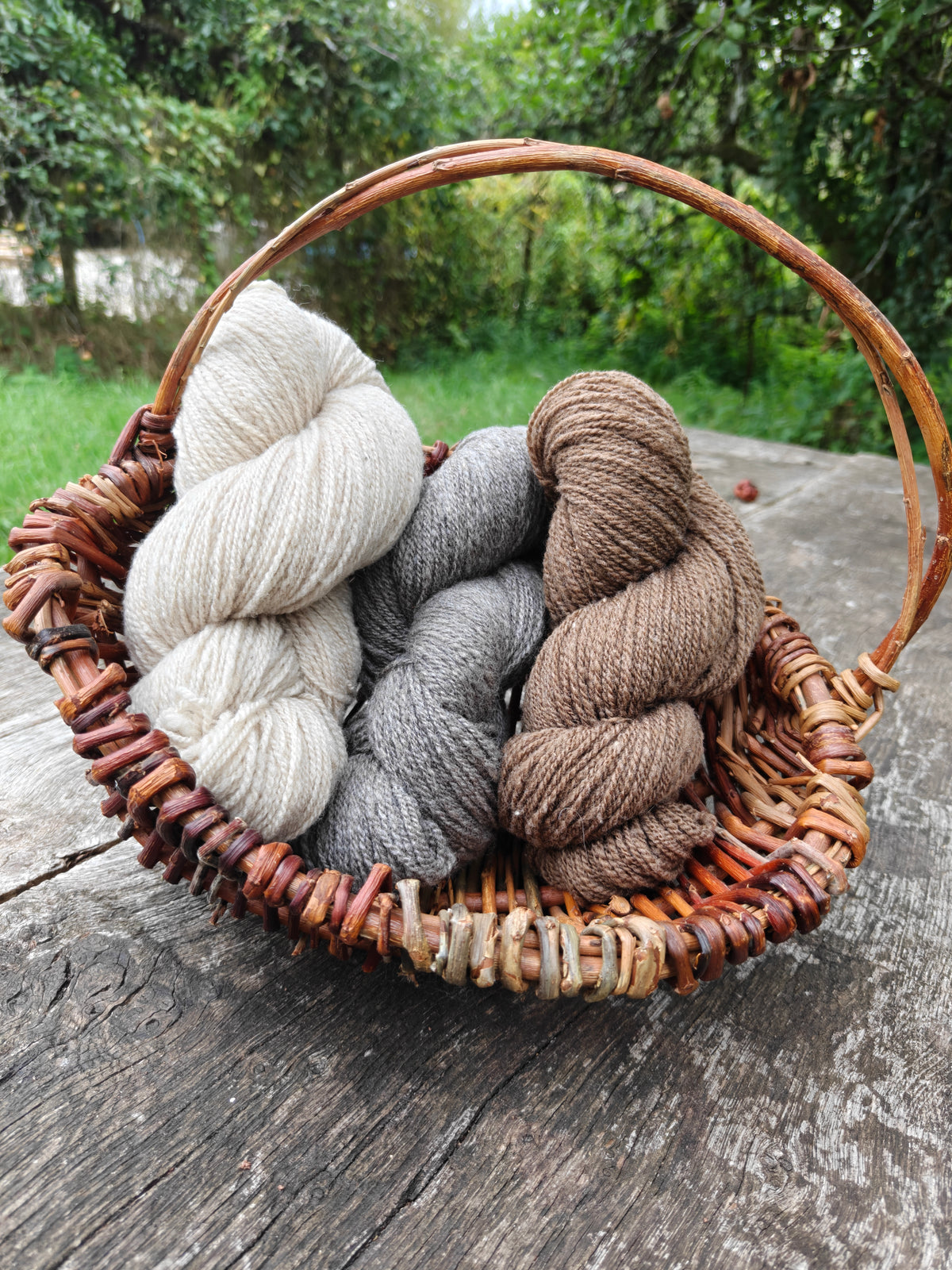 Shetland Wool Yarn DK