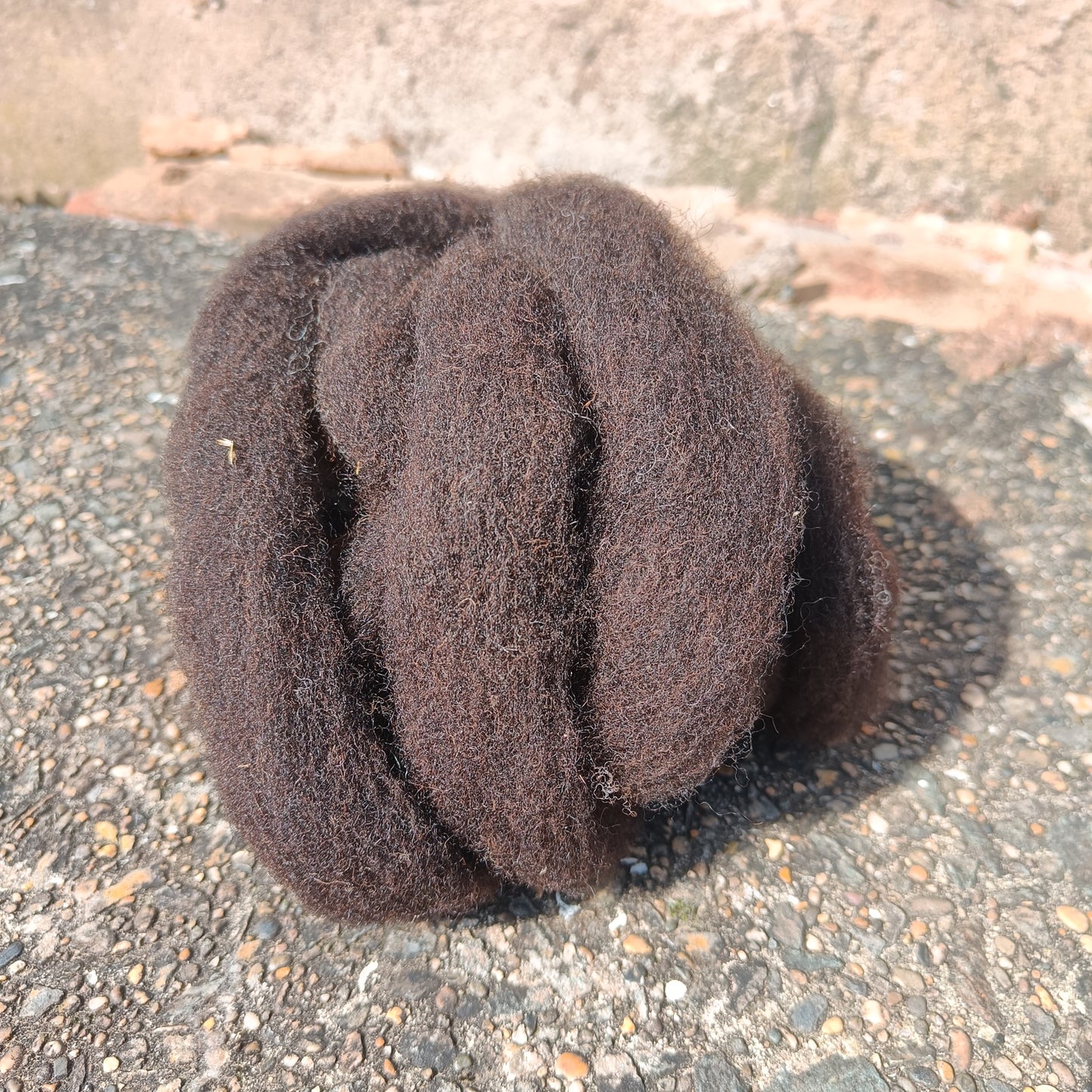 Black Welsh Mountain