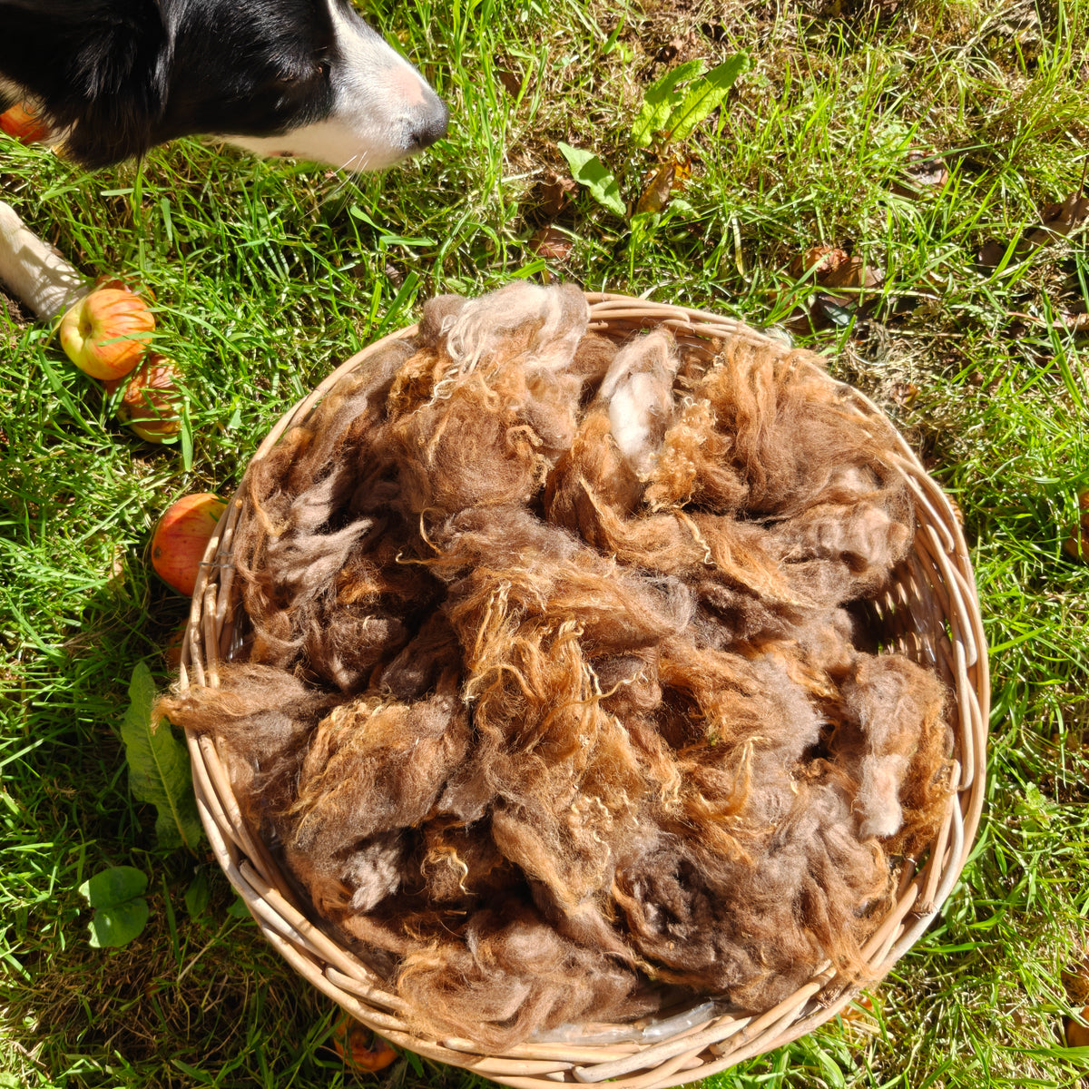 Raw Lambswool