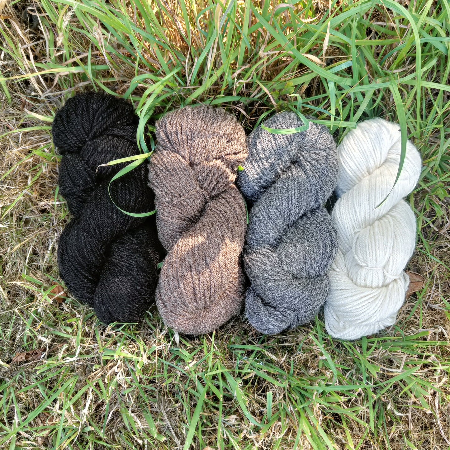 Shetland Wool Yarn