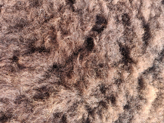 Shetland x Icelandic Sheepskin Rug 1