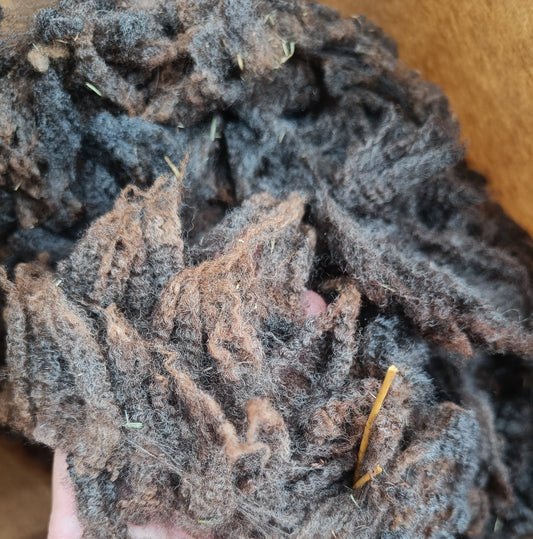 Shetland Icelandic Cross ewe's fleece.