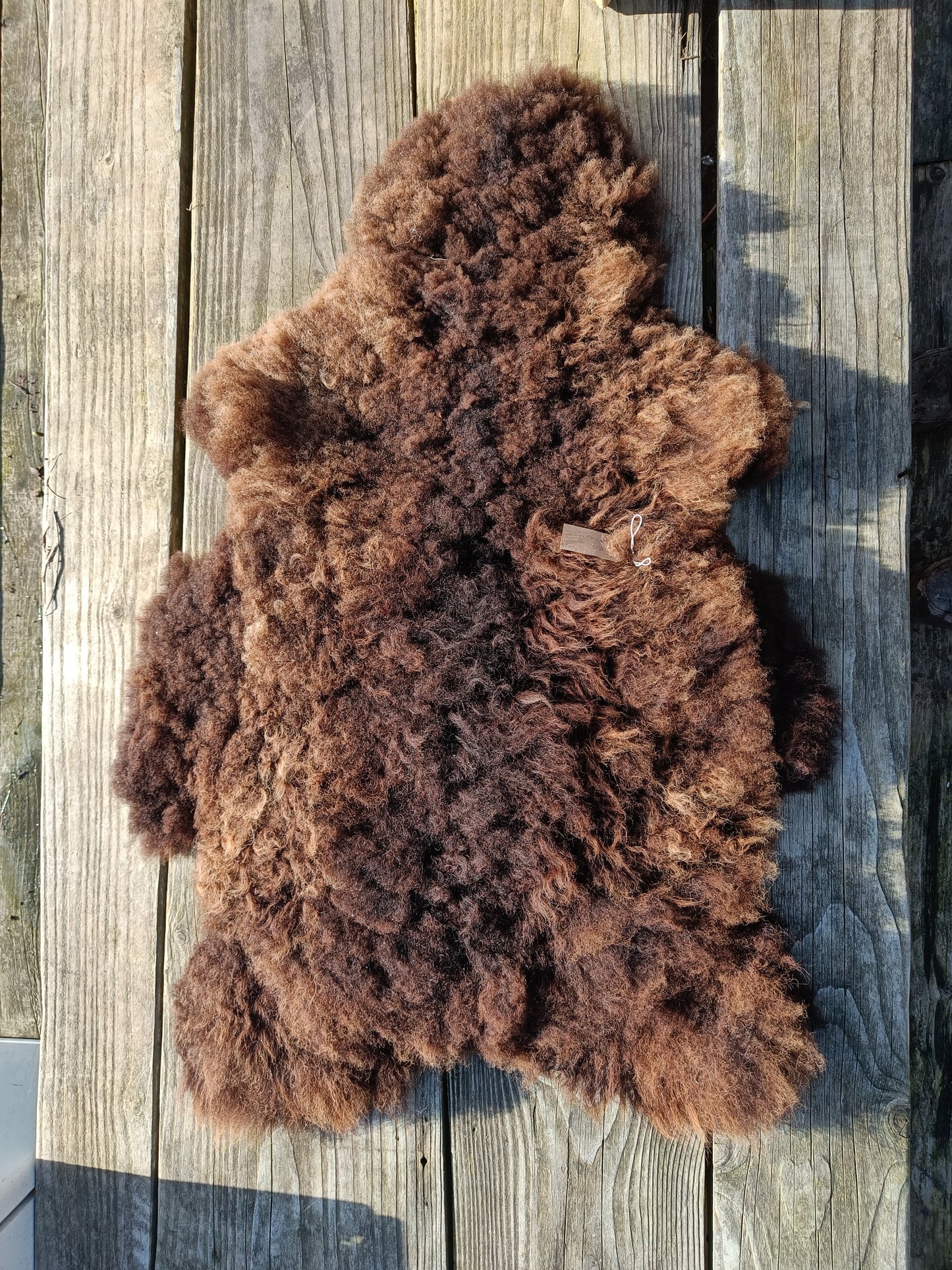 Icelandic x Shetland Sheepskin Rug