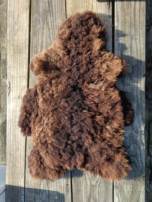 Icelandic x Shetland Sheepskin Rug