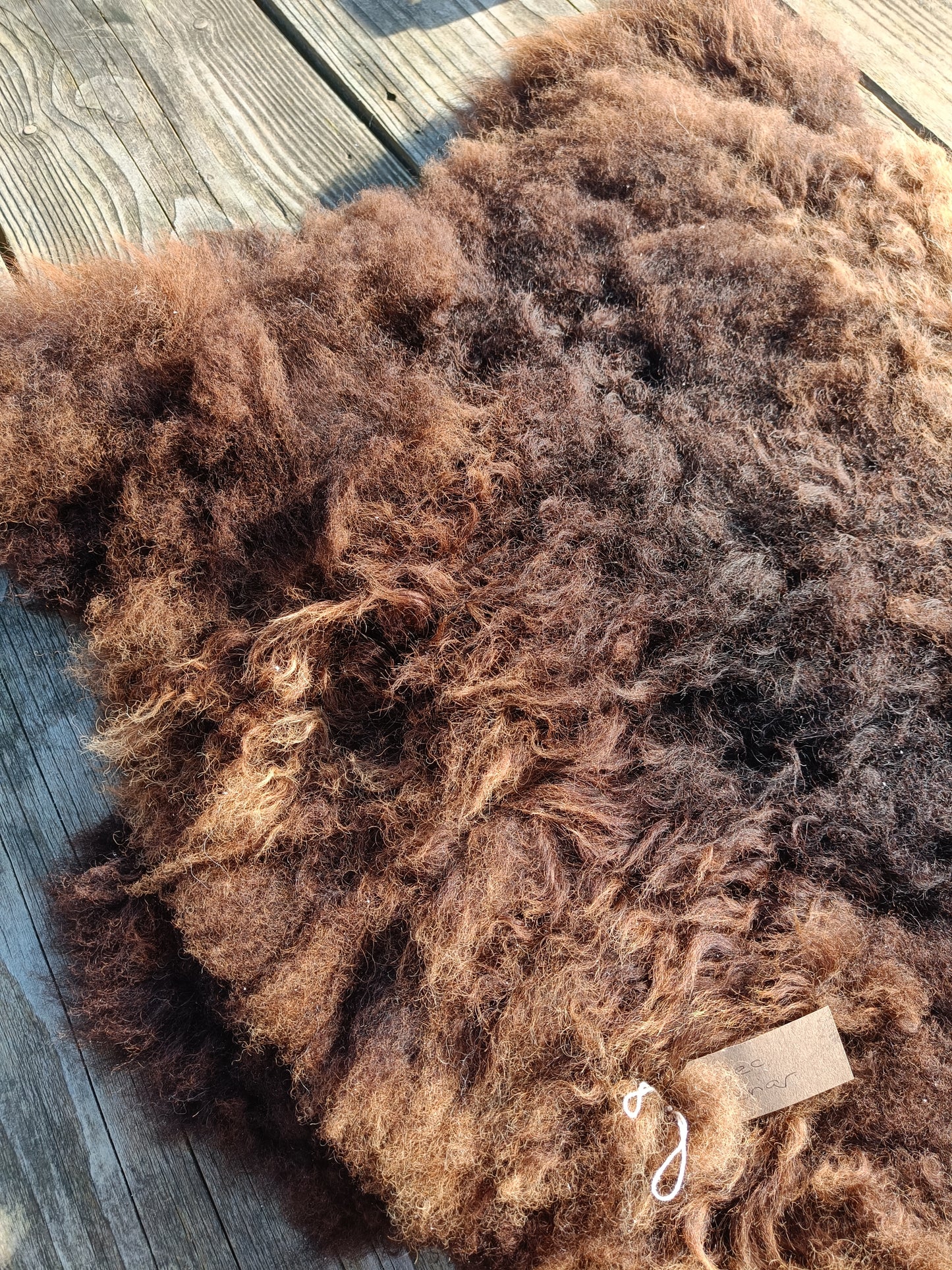 Icelandic x Shetland Sheepskin Rug