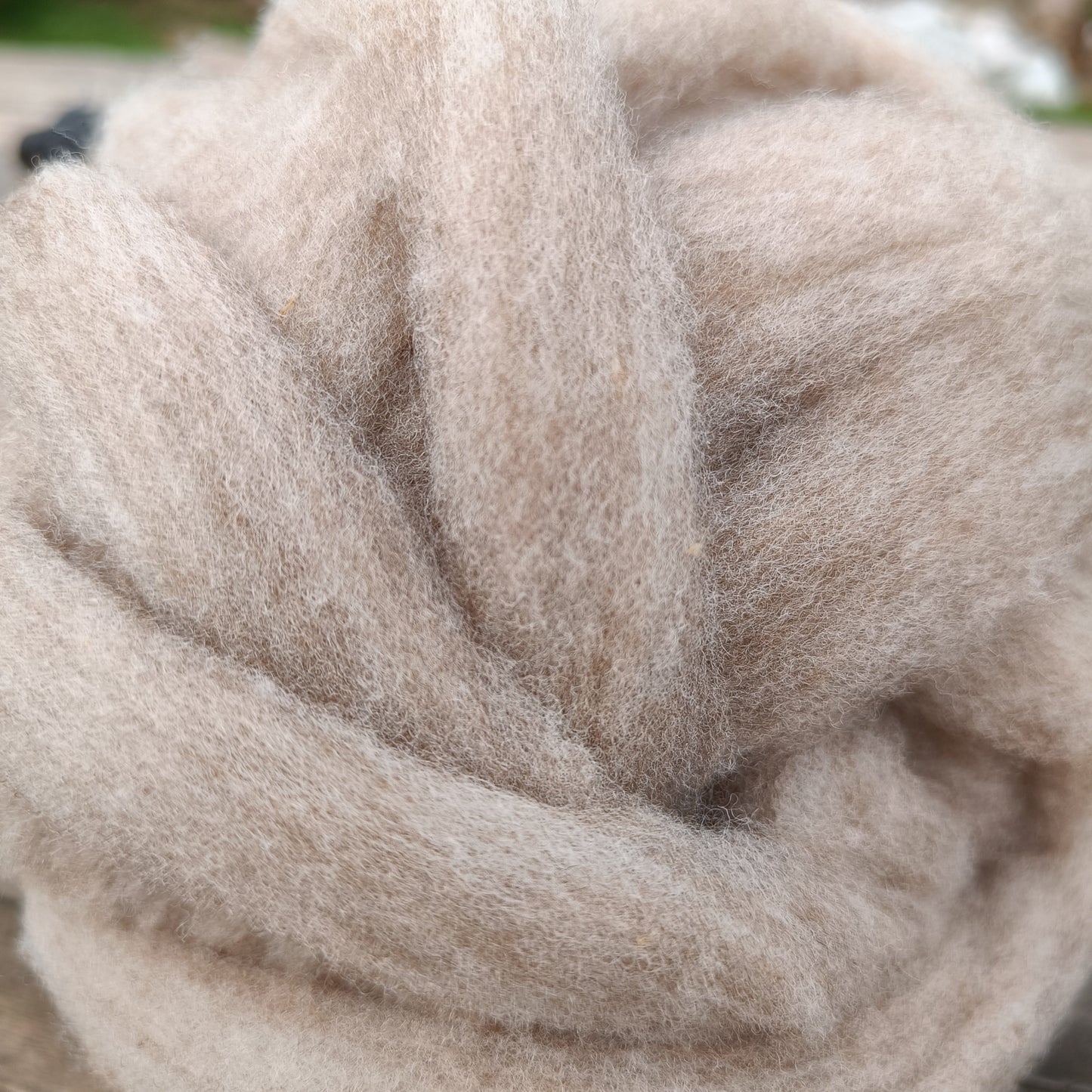Shetland Lambswool - Sliver
