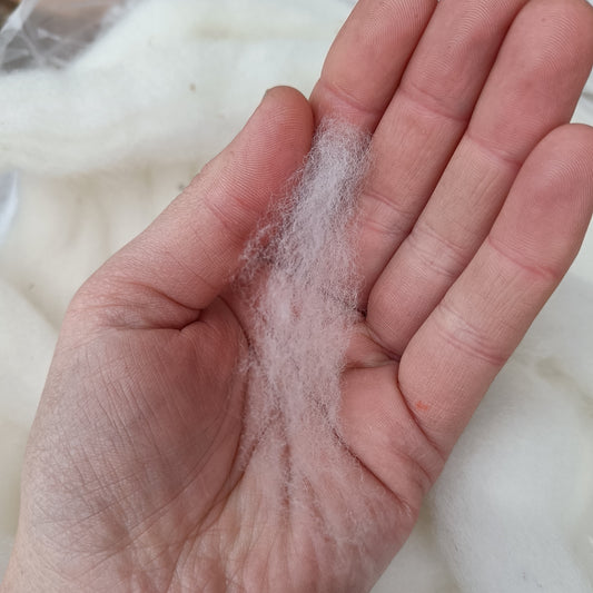 Merino x Cheviot - White Sliver