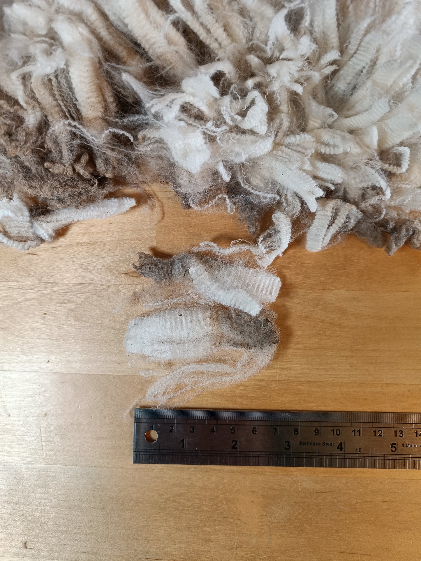 Raw Falklands Merino, blade shorn