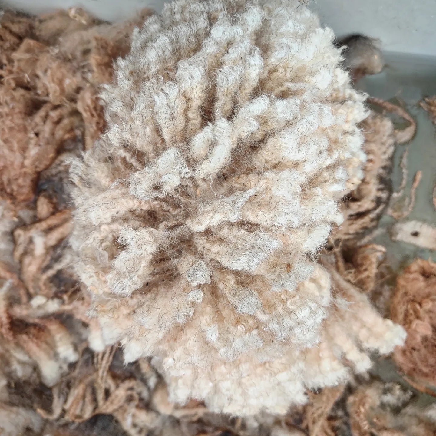 Fleece Box